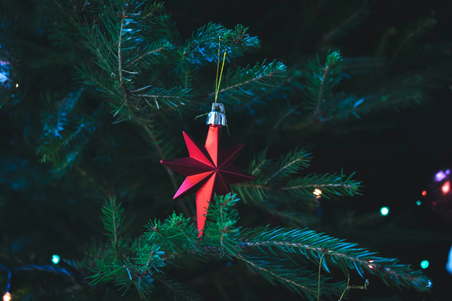 red star ornament on pine branches
